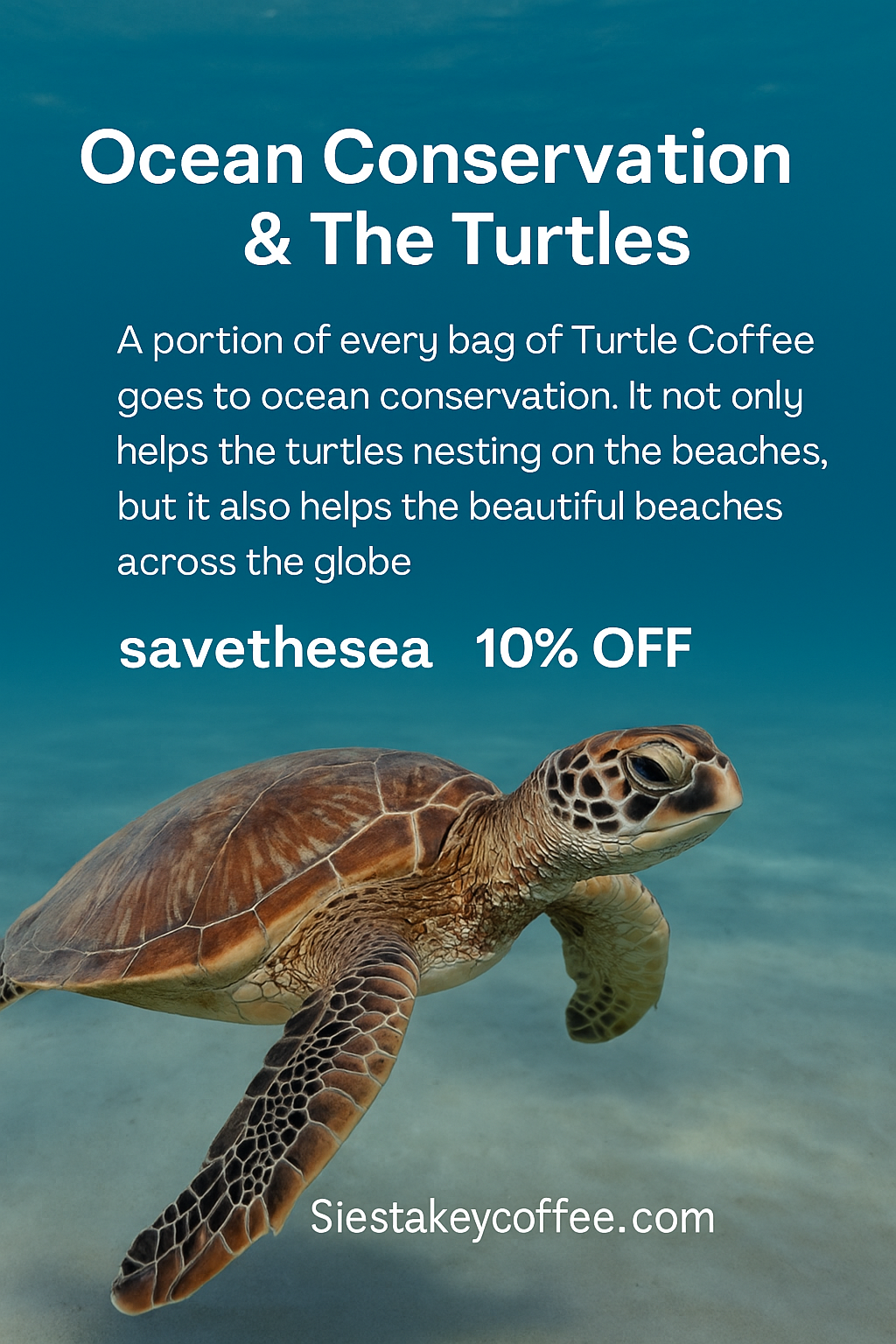Ocean Conservation, Save the Turtles